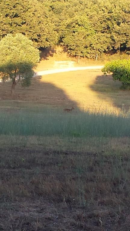 Agriturismo Bronzivalle รีโอตอร์โต ภายนอก รูปภาพ